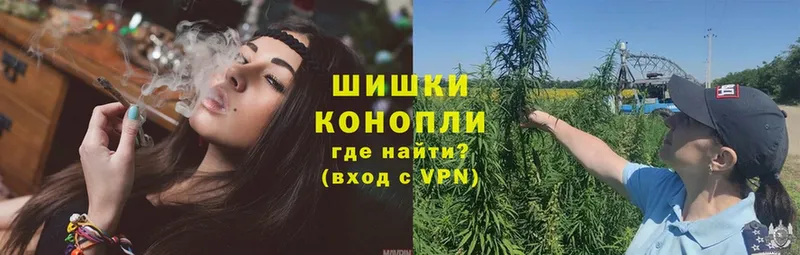 Каннабис OG Kush  Жуков 